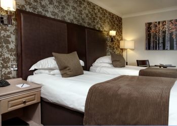 Standard Twin Room 9 Ivy Hill Hotel